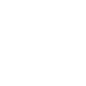 logo Akashic