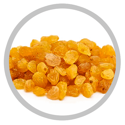 Malayer Golden Raisins